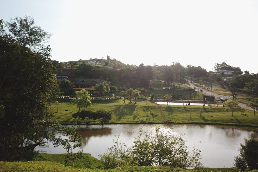 DCIM100MEDIADJI_0056.JPG